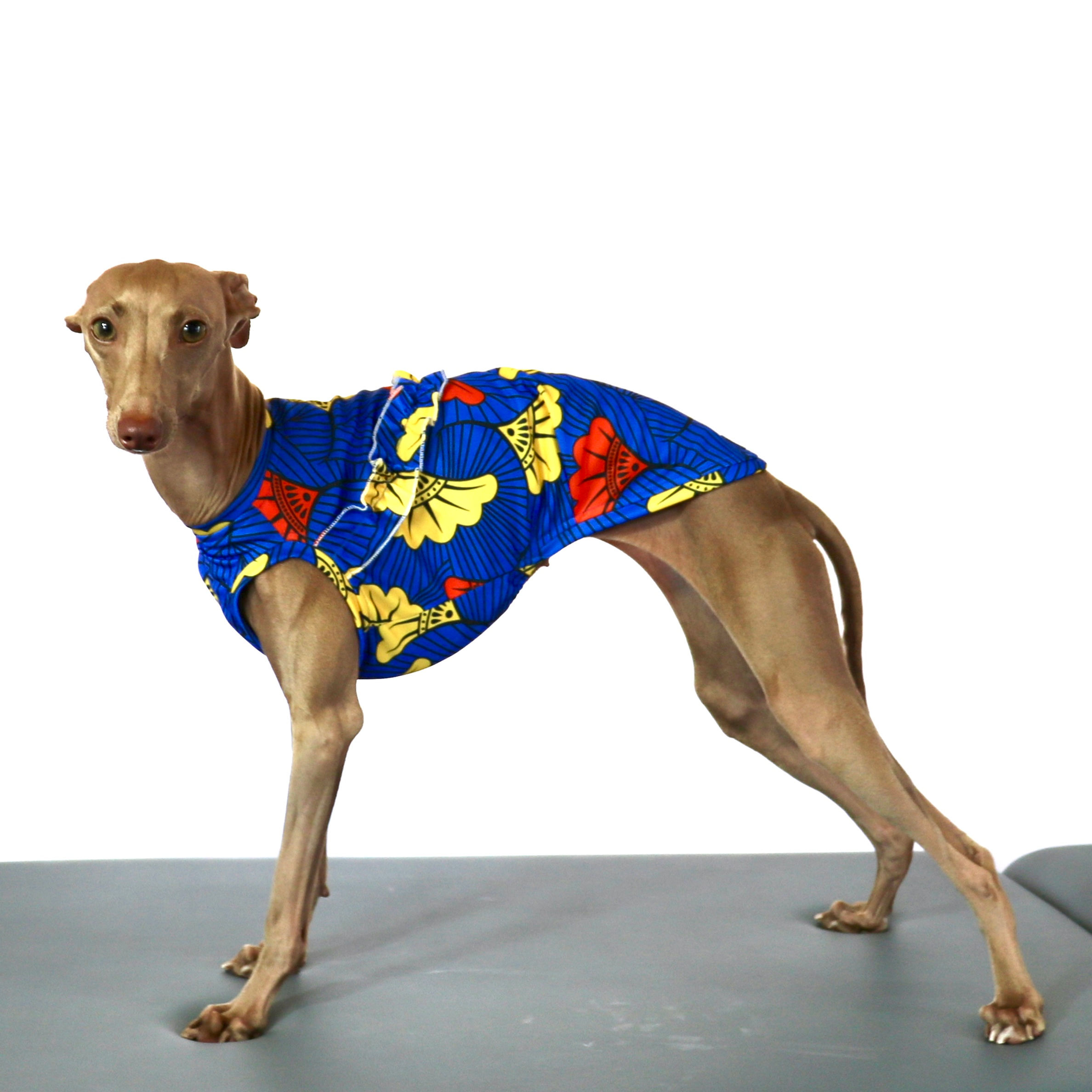 アシメフリルのアフリカンクールタンク③