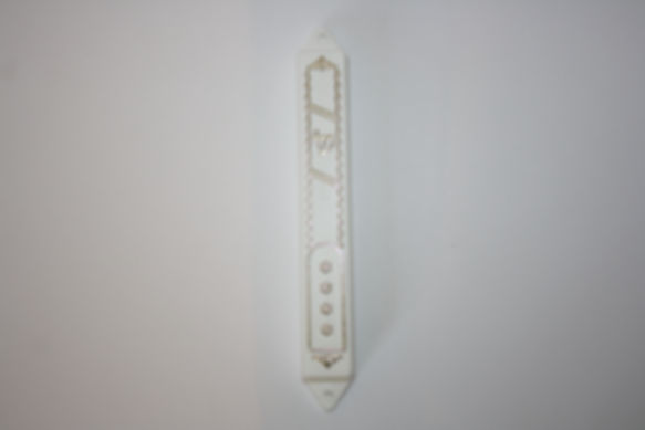 White Plastic Case
