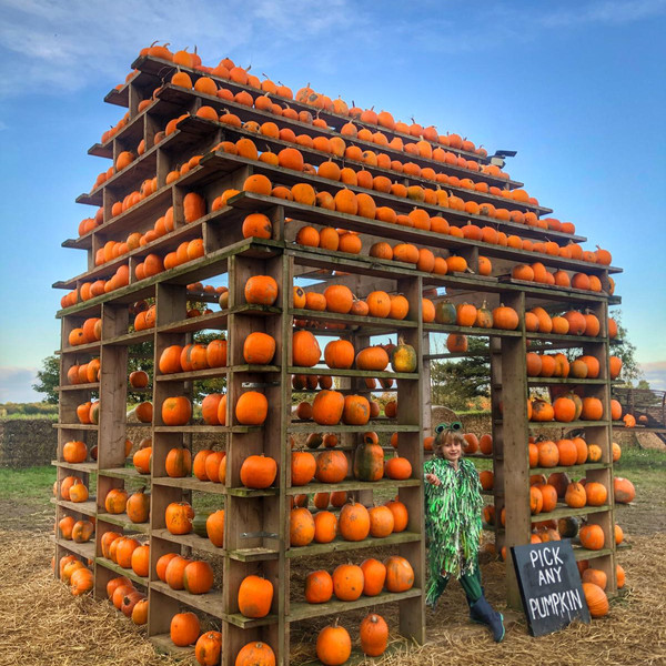 Pumpkin shop event The Pumpkin House, Thursford Fakenham