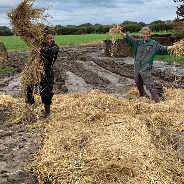 Pumpkin shop event The Pumpkin House, Thursford Fakenham