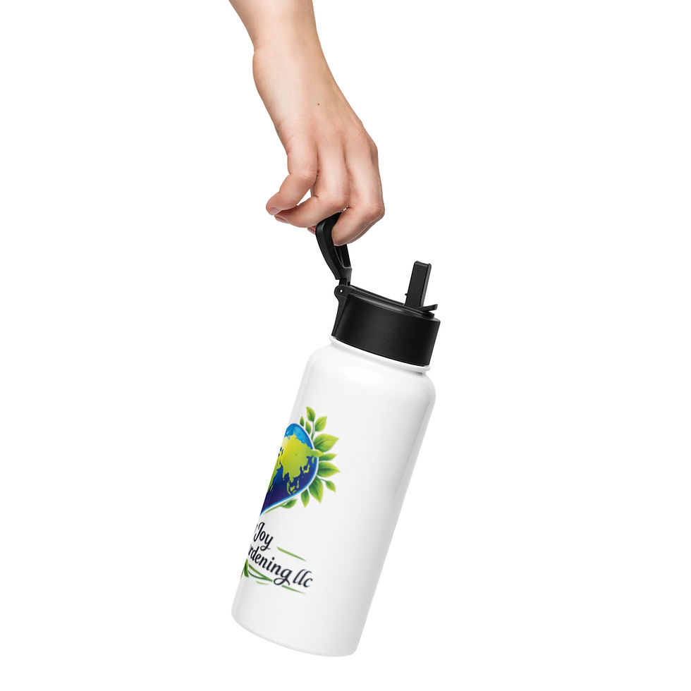 Miniatura: Stainless steel water bottle with a straw lid