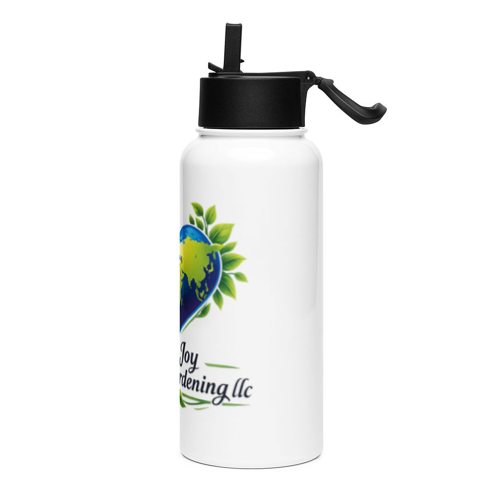 Miniatura: Stainless steel water bottle with a straw lid