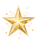 pngtree-gold-glitter-star-with-shadow-isolated-on-transparent-background-png-image_1473730