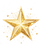 pngtree-gold-glitter-star-with-shadow-isolated-on-transparent-background-png-image_1473730