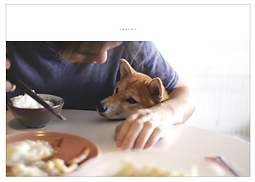 スクリーンショット 2015-10-23 12.38.15.png