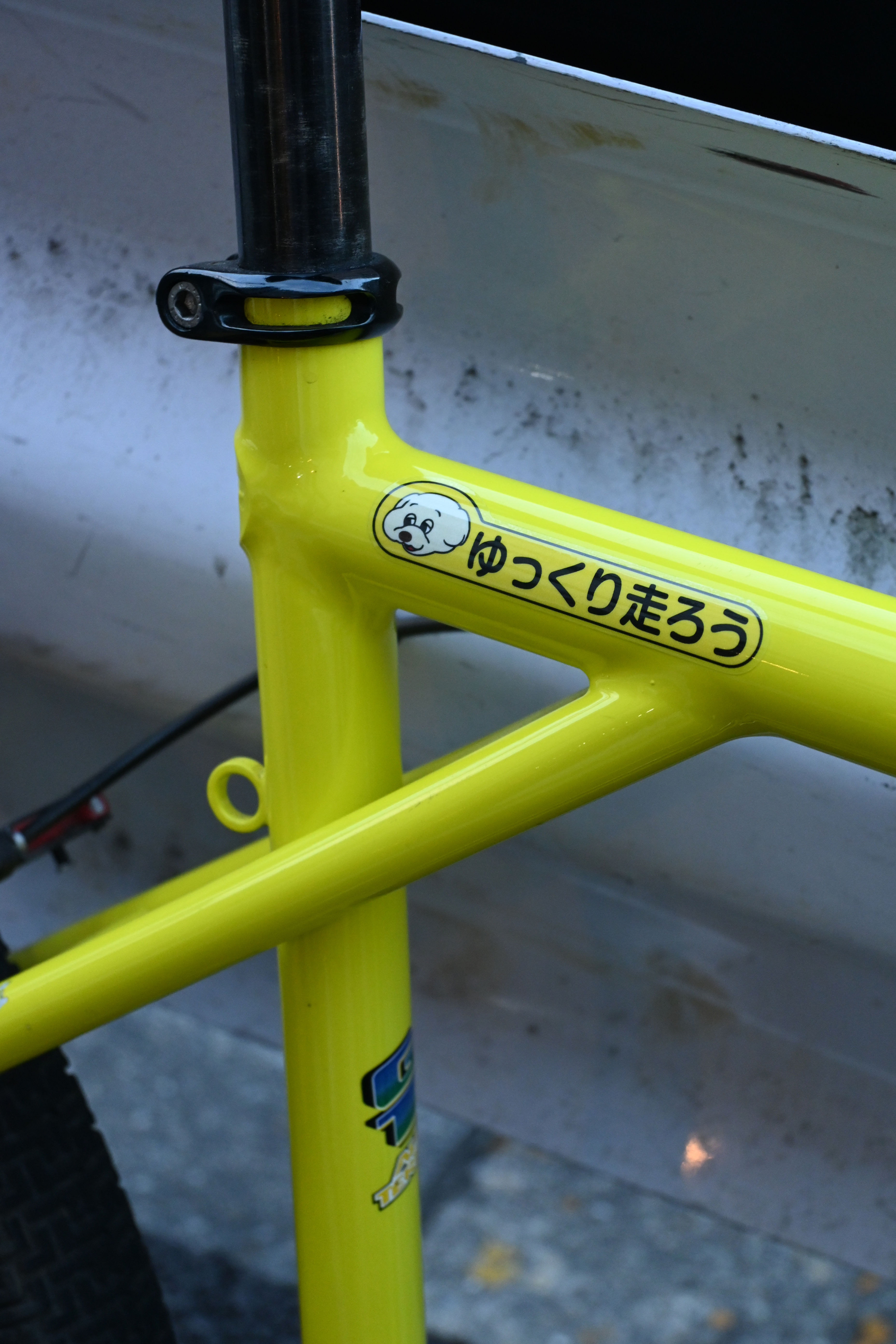 Asyl x CRUMB "ゆっくり走ろう"