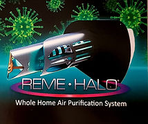 Remi-Halo.jpg