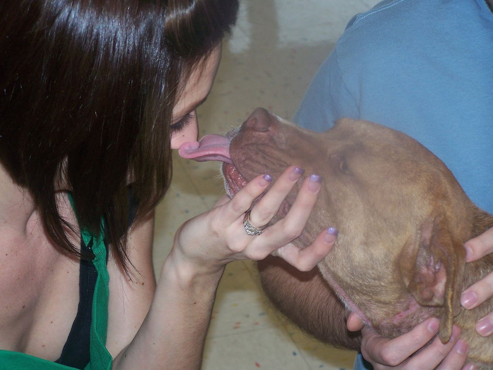 Dog Kisses.jpg
