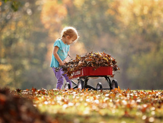 Winterizing your lawn & landscape