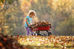 Winterizing your lawn & landscape