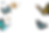 5.png
