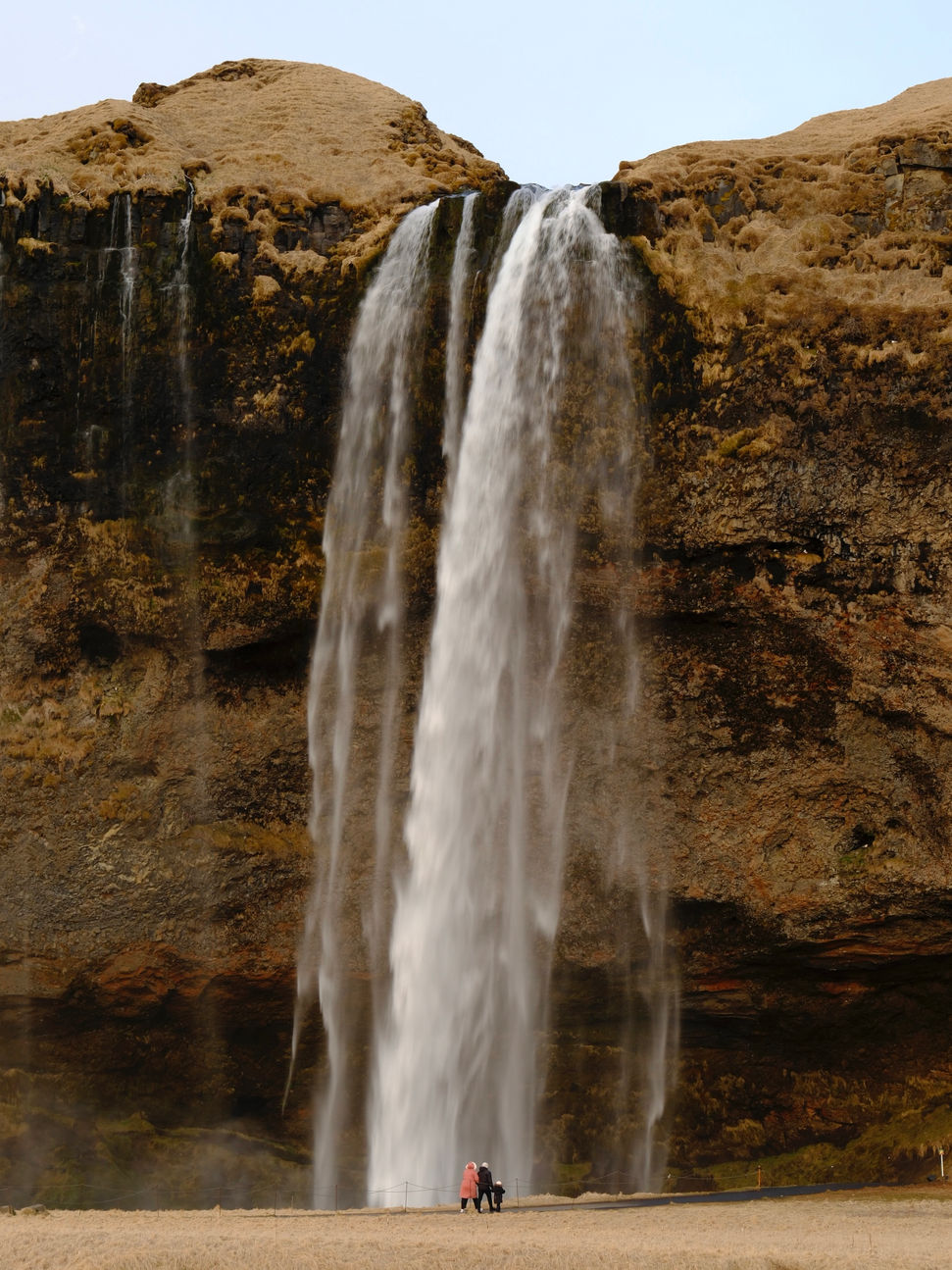 _DSF1118