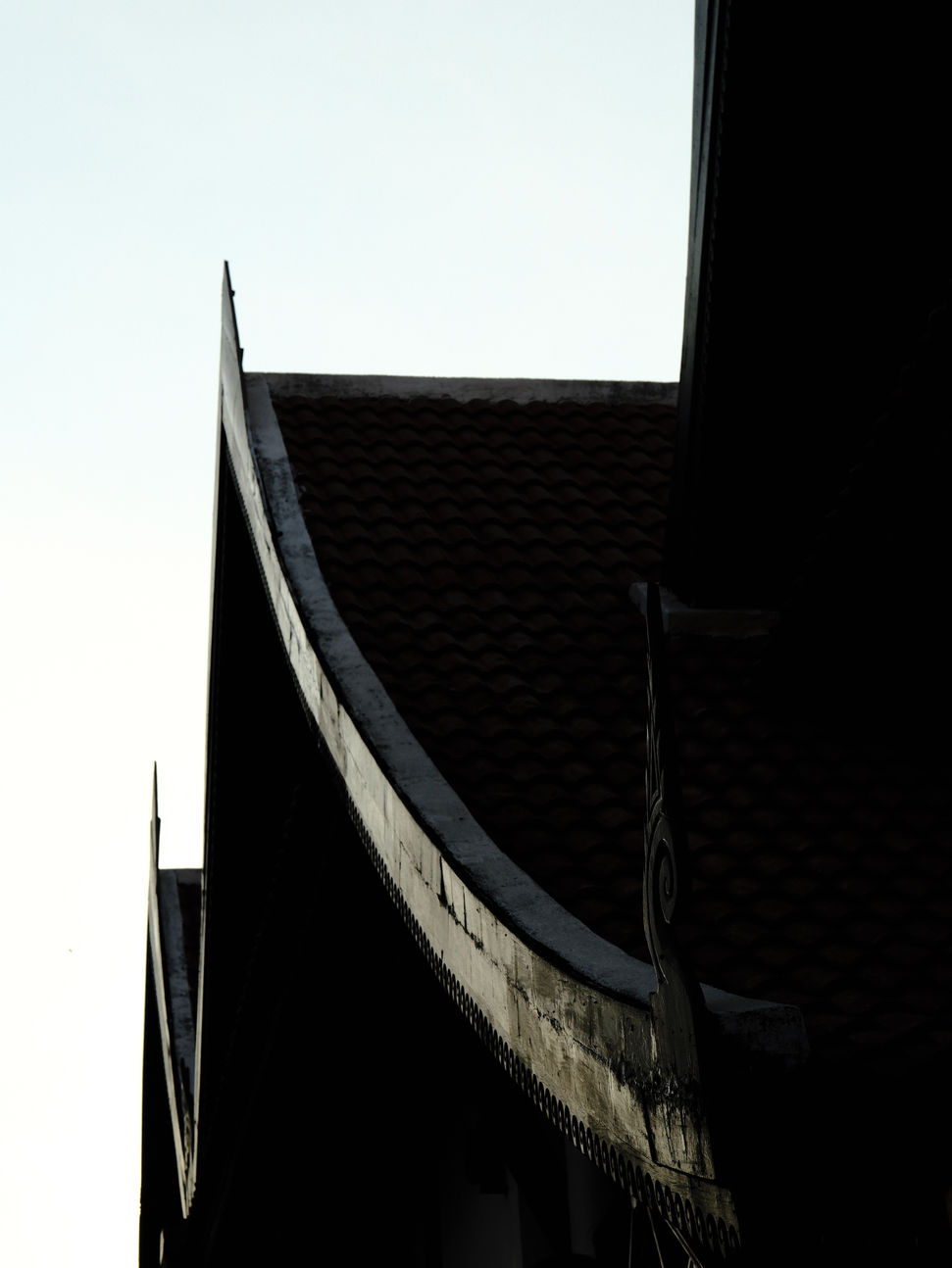 _DSF7492