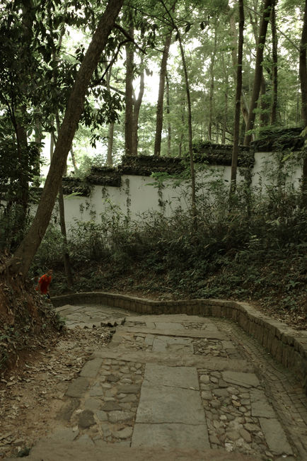 R0002226