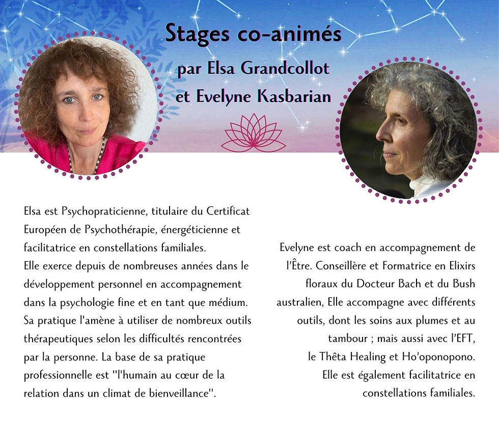 stages coanimés.jpg