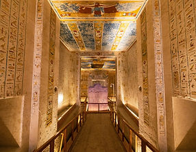 shutterstock_2282005833 (1).jpg