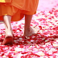 monk-458491.jpg