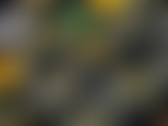 Top Quality Cannabis Products from North Fork Cannabis Co