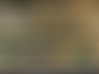 Shop Online for Premium Cannabis Products from North Fork