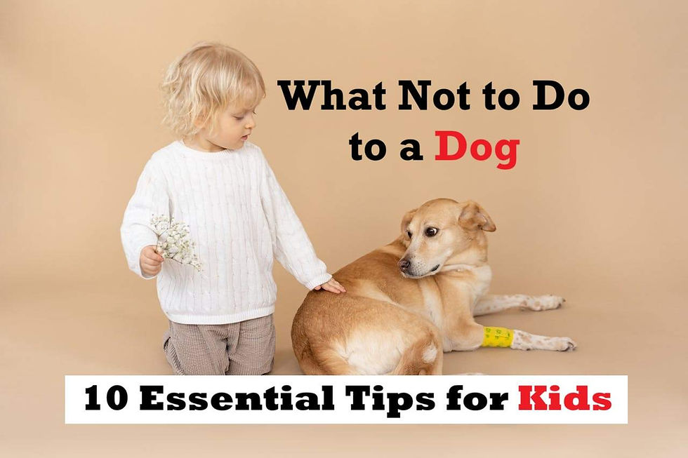 What Not to Do to a Dog: 10 Essential Tips for Kids
