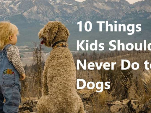 Kids and Dogs: 10 Common Mistakes Every Parent Should Avoid