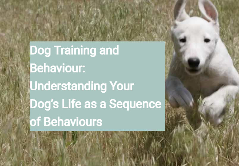 Dog Training and Behaviour: Understanding Your Dog’s Life as a Sequence of Behaviours