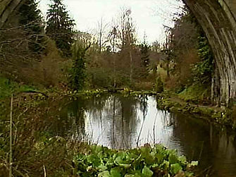 Betacam Video Still.jpg
