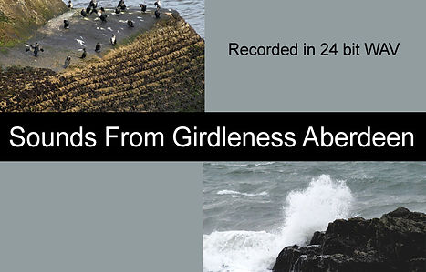 Audio Cover Artwork.jpg