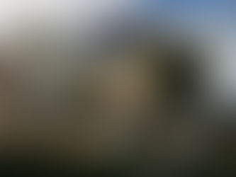 Capcom ประกาศวางจำหน่าย Monster Hunter Rise บน PC ผ่าน Steam ในวันที่ 13 มกราคม 2022 (ตามเวลาไทย)