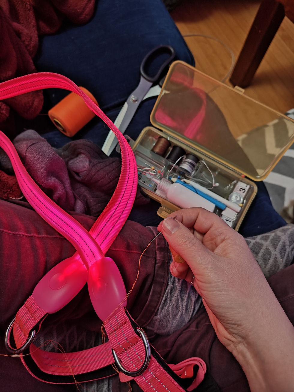 IMG_20250308_234258175