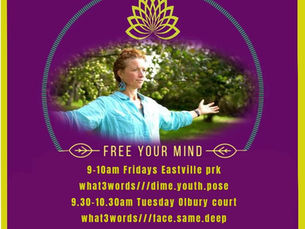 Click below to join our Lou's weekly Qigong classes in the park...