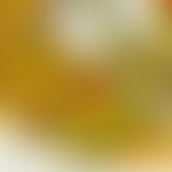 MEDITERRANEAN COUSCOUS