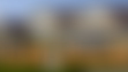 Monkey Apple - Flip Or Flop