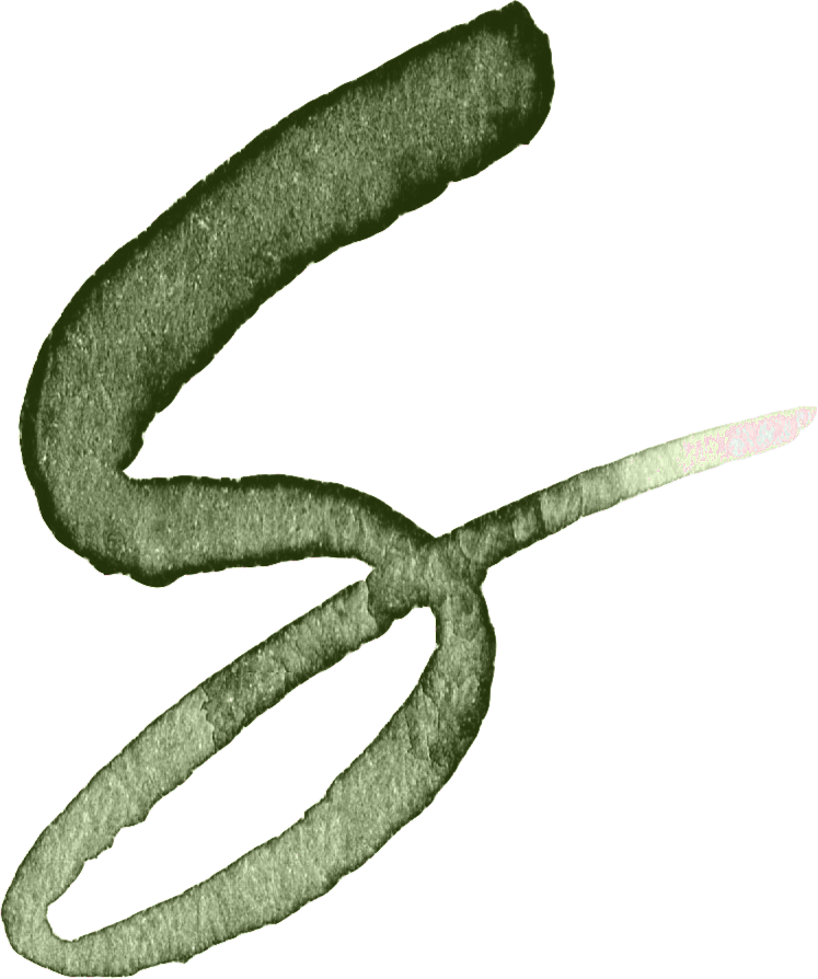 Katie Roze - By Lef - s1.png