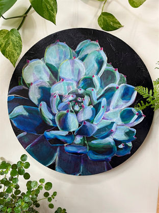 A teal succulent painted on a dark black circular canvas, the light is coming from the top right corner, the succulent is bathed in blue/white light and the resulting shadows are in dramatic magentas and dark greens 