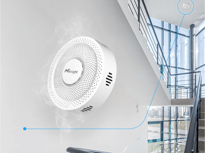 Realaus laiko garinimo aptikimo stebėsena per LoRaWAN pagrindu veikiančią IoT platformą.