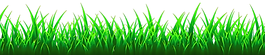 super green grass