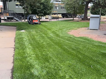 Green grass with a mower in the background