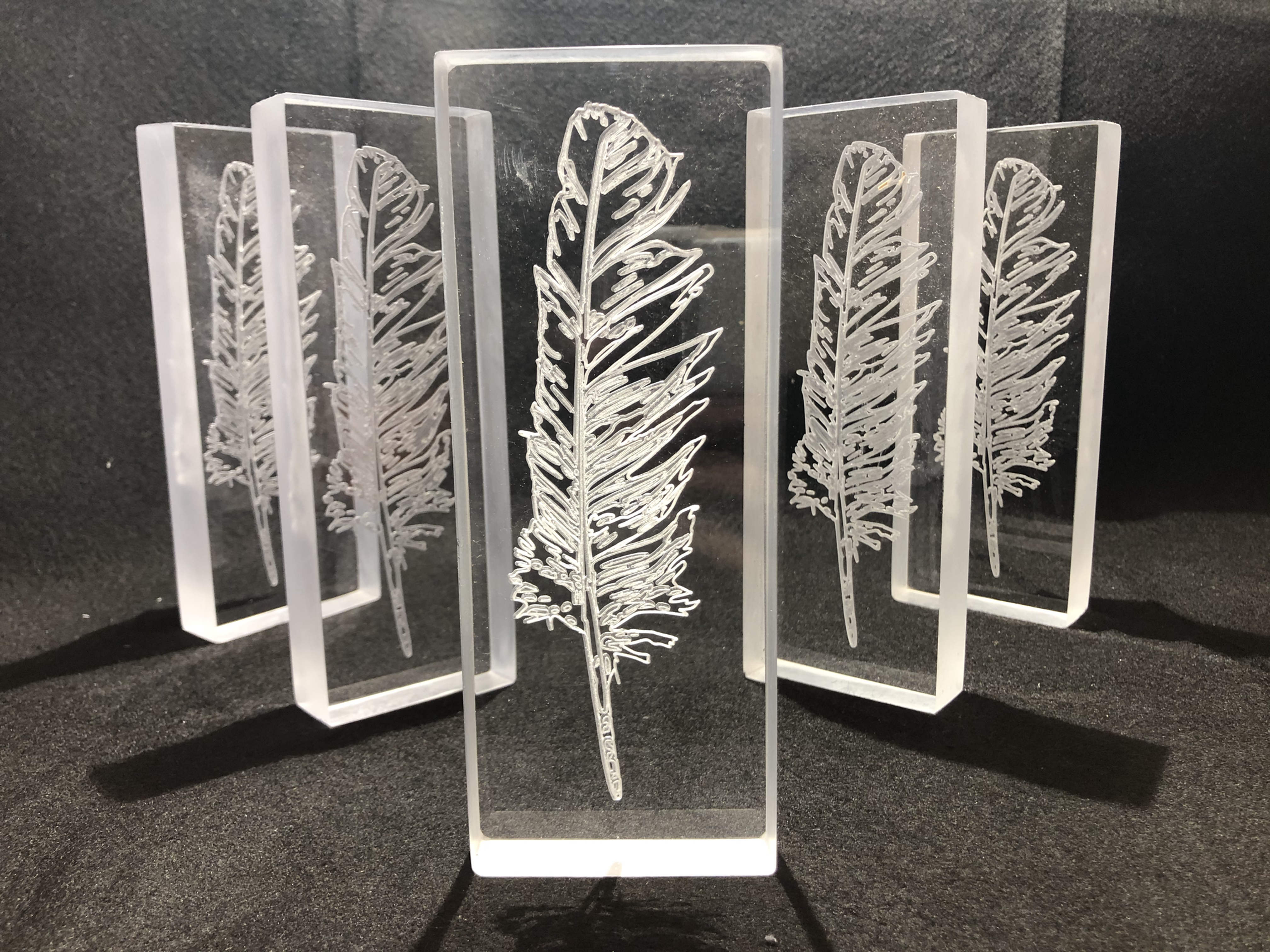 Hawk Feather in acrylic