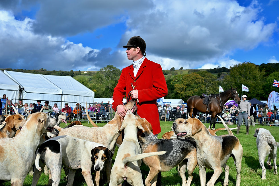 Thumbnail: Nidderdale: A Yorkshire Agriculture Show