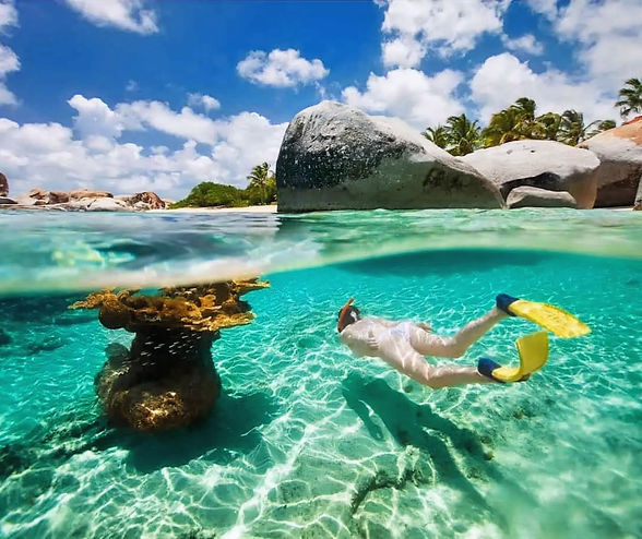 Schnorcheln-in-BVI-resize_edited.jpg