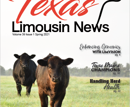 Texas Limousin News - Spring 2021
