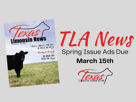 January Newsletter