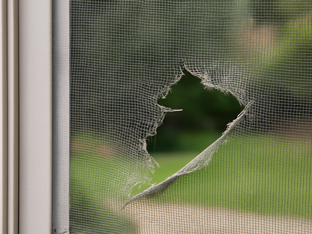 When Is It Time to Replace Your Window and Door Screens?