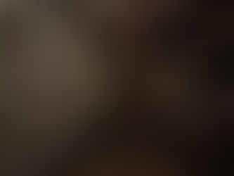 Joey Burrard Vancouver – Weinwand und stylisches Ambiente im Restaurantinnenraum