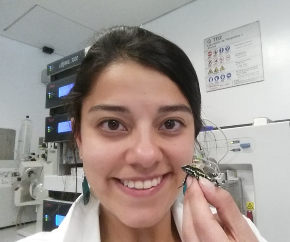 Mabel González estudia las ranas venenosas colombianas de la familia Dendrobatidae.