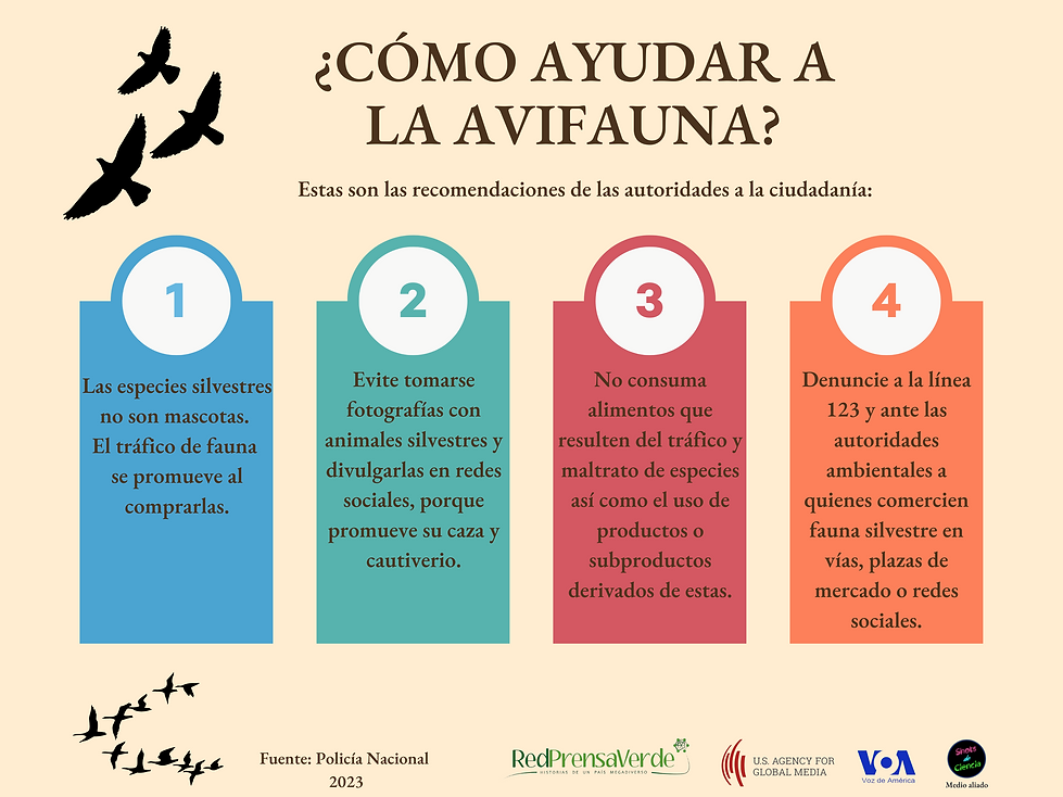 ¿Cómo ayudar a las avifaunaU 170723.png