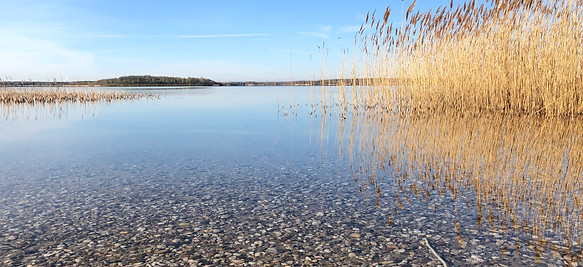 Gemeinde Muldestausee_Naturnah.jpeg