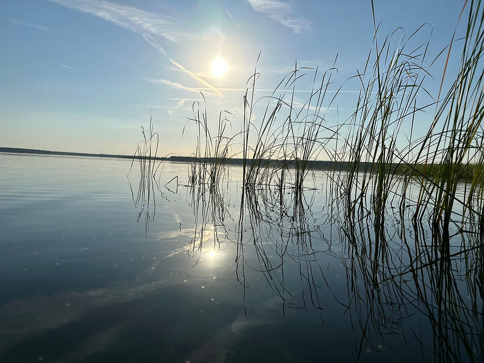 Der Goitzschesee