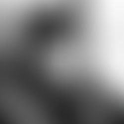 The Lucky Seven Story